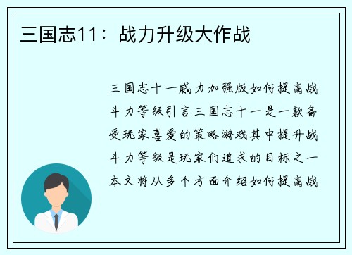 三国志11：战力升级大作战
